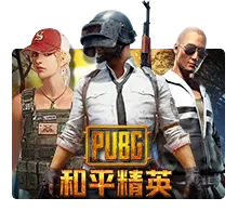 Pubg - SMARTGAMING138